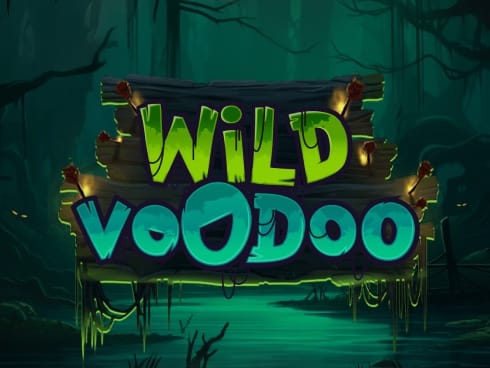 Wild Voodoo game cover