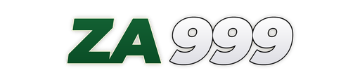 pkza999.com Logo